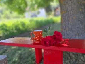 Kosta's romantic house