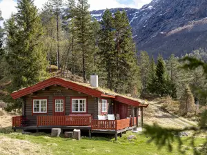 Fjellbris