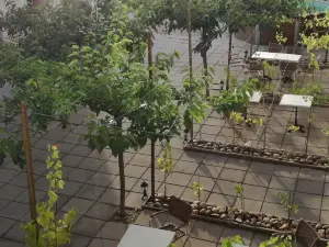 克洛斯博伊西住宿加早餐旅館