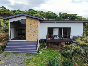 남비 몬테베르데