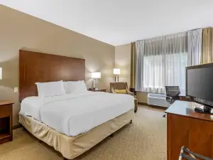 Comfort Inn & Suites East Moline Near I-80