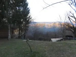 La Cabane Aux Sapins