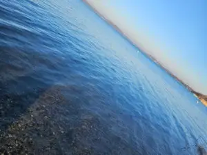 Lagune