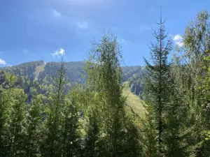 Ski View Studio - Near the Ski Slopes