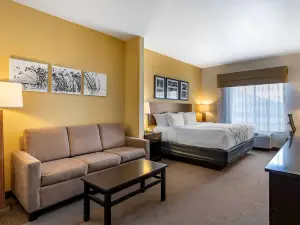 Miles City I-94 的舒眠套房酒店
