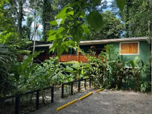 Hotel Boutique the Green Jungle House