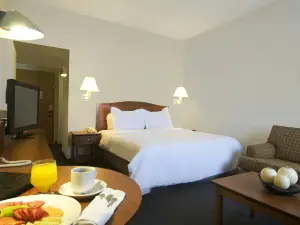 Fiesta Inn Toluca Centro