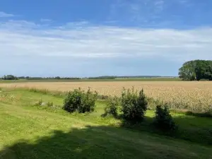 Störtebekers Piratennest