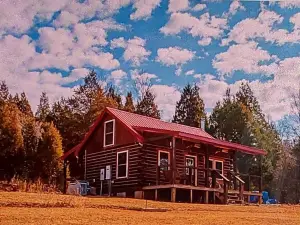 Cozy 2-bedroom country side cabin. Minutes from Patoka Lake. Pet friendly.