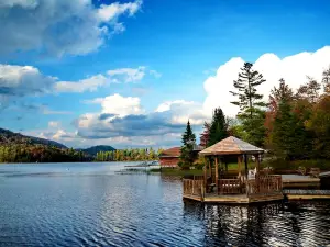 Cozy Adirondack Cabin Nestled in the Forest Only Footsteps Away From Big Moose Lake, New York