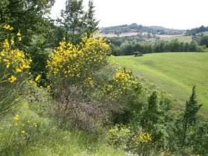 Agriturismo Coradosso "Il Fienile"