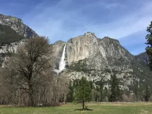 Carriage House at Yosemite