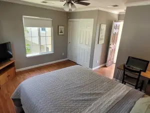 Charming studio in wonderful Dublin with WiFi, AC
