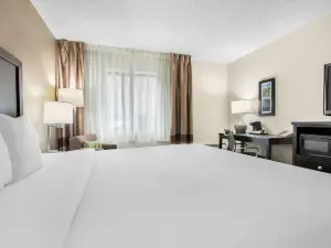 Comfort Inn Downtown