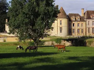 Château de La Rivière