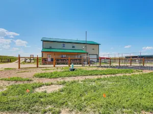 Pet Friendly 'Daydreamers Guest Ranch' on 60 Acres
