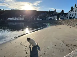 Harbour Hoose - Stonehaven