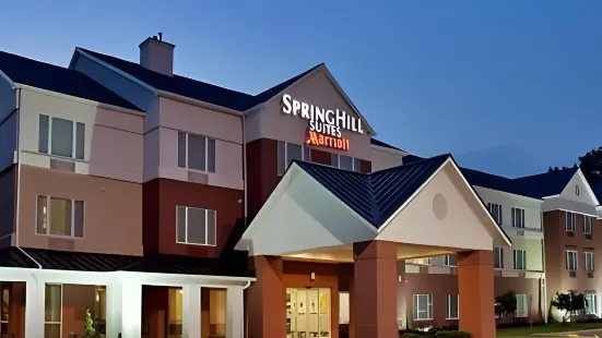 休斯頓布魯克哈羅萬豪SpringHill酒店