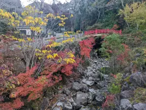 Traditional Japanese House