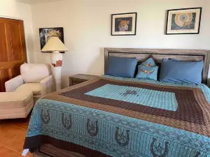 Peaceful SW-style ranch home in wine country