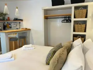 Dryopis Studio
