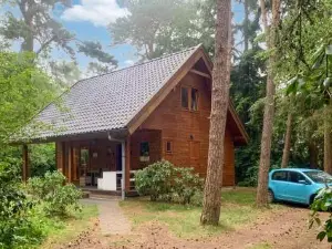 Boshuisje Veluwe Goudplevier