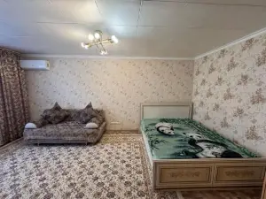 Apartment on Akhmetova 10