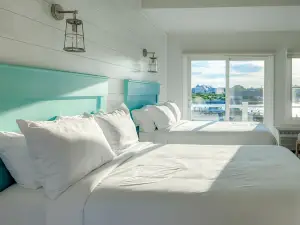 팔머스 타이즈