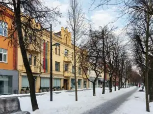Laisves Ave. Apartments Mini