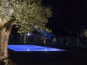 Ribeira House