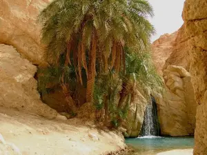 Villa Atlas Oasis