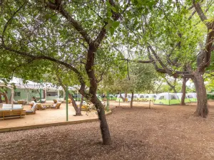 Camping Dafna - by Travel Hotel Chain