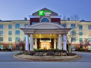 Holiday Inn Express & Suites I-26 & US 29 AT WESTGATE MALL by IHG