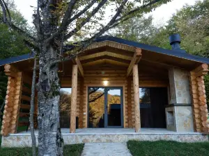 კოტეჯები საგურამოში buriani resort