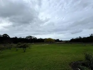 The Homestead at Dalton's Paddock