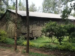 Tranquil Homestays