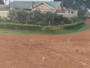 Tranquil Tororo Retreat