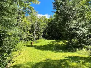 Charming Lakefront Cottage on Twelve Mile Lake - Minden Hills
