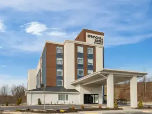 SpringHill Suites by Marriott Pittsburgh Airport