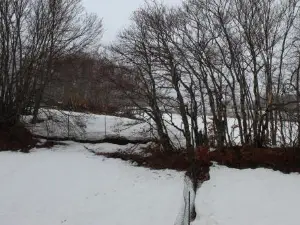 Fiocco di Neve, Residence Magnola