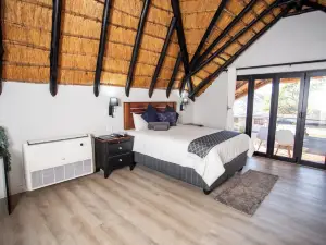 ゴールデン カーサ