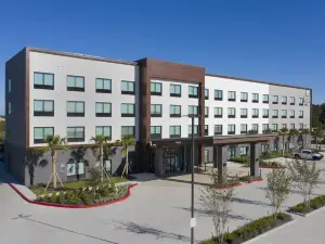 智選假日酒店及套房 - 伍德蘭茲地區