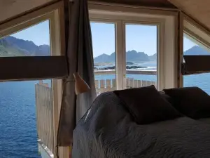 Aurora Suite
