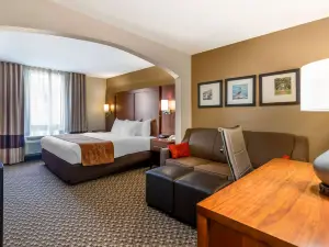 Comfort Suites Port Allen - Baton Rouge