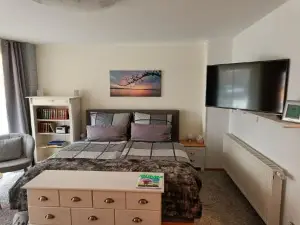 Apartment Casa Gina