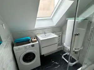 F3 au grenier d'une maison