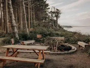 Treehouse-Small Eagles Perch over the Water