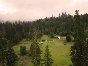 Casa Din "Curtea cu cai"