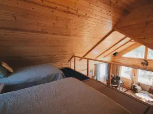 Denali Wild Stay - Bear Cabin with Hot Tub and Free Wifi, Private, sleep 6