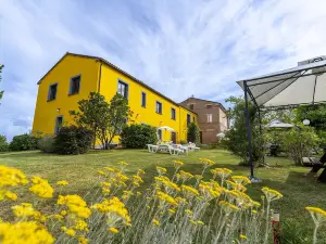 L'Olmo di Casigliano